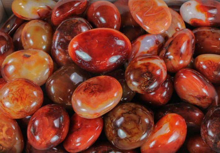 lbs Polished Carnelian (Wholesale Lot) - Pieces #61992